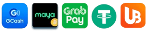wowph Selection of secure online payment methods including e-wallets and bank transfer icons