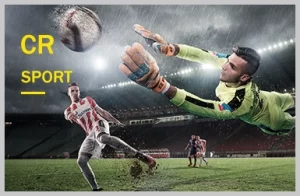 Celebrating big sports betting wins on wowph