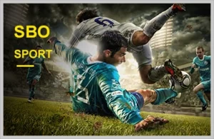 Wide range of sports games offered by wowph
